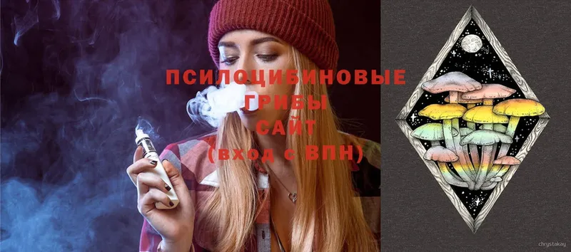 Псилоцибиновые грибы Magic Shrooms  цены наркотик  Болохово 